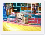 7th Birthday (18) * 2048 x 1536 * (1.42MB)